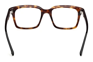 Vista posteriore Web Eyewear WE5452 (055)