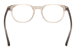 Vista posteriore Web Eyewear WE5455 (057)