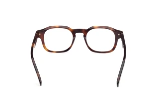 Vista posteriore Zegna EZ5293 (052)