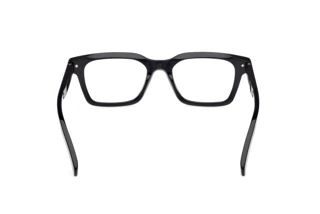 Vista posteriore Zegna EZ5294 (001)