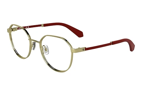 Occhiali design Calvin Klein CKJ25304 717