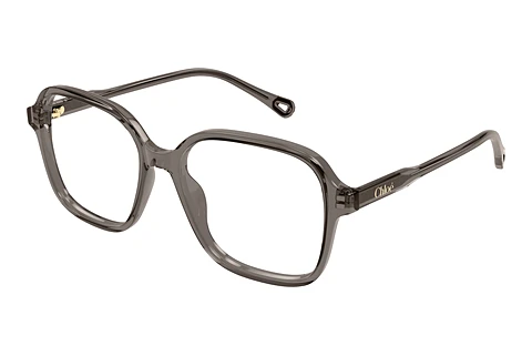 Occhiali design Chloé CH0313O 003