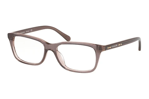 Occhiali design Coach HC6136U 5447