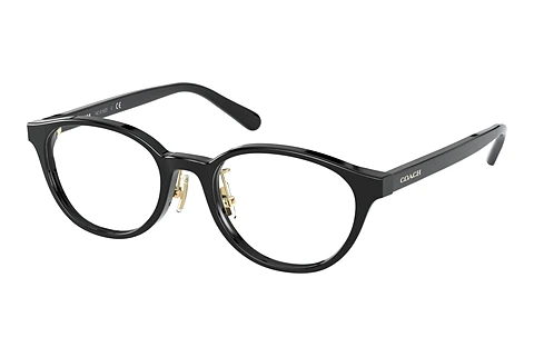 Occhiali design Coach HC6152D 5002