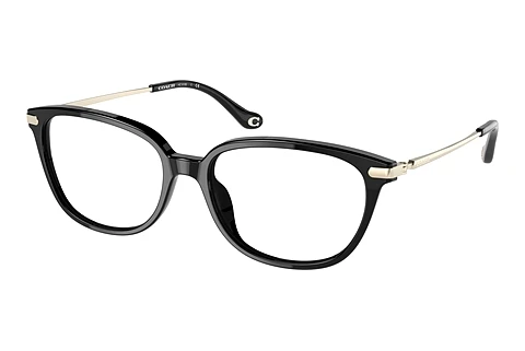 Occhiali design Coach HC6185 5002