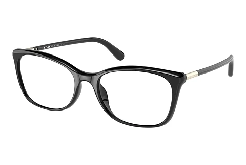 Occhiali design Coach HC6192U 5002