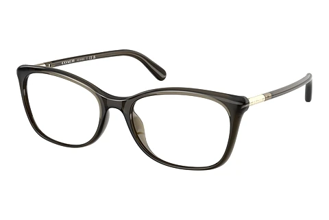 Occhiali design Coach HC6192U 5400