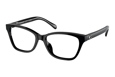Occhiali design Coach HC6196U 5002