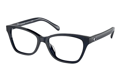 Occhiali design Coach HC6196U 5714
