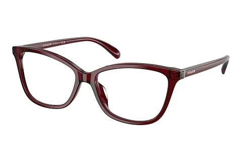 Occhiali design Coach HC6206U 5393