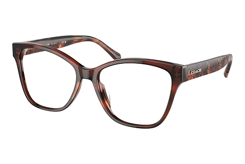 Occhiali design Coach HC6207U 5741