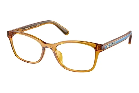Occhiali design Coach HC6216U 5748