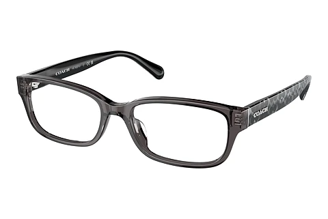 Occhiali design Coach HC6221U 5785