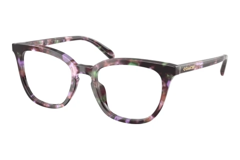 Occhiali design Coach HC6222U 5843