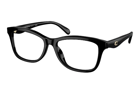 Occhiali design Coach HC6231U 5002
