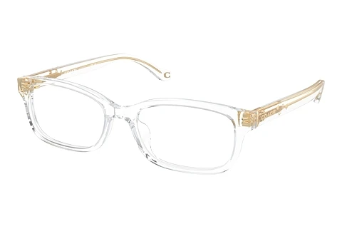 Occhiali design Coach HC6233U 5111