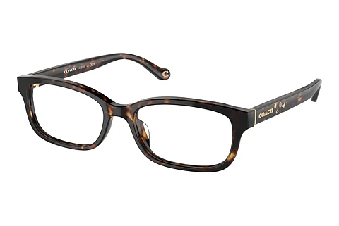 Occhiali design Coach HC6233U 5120