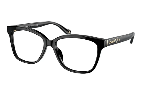 Occhiali design Coach HC6242U 5002