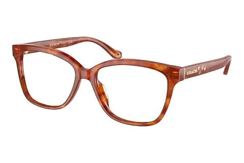 Occhiali design Coach HC6242U 5774