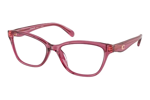 Occhiali design Coach HC6243U 5824