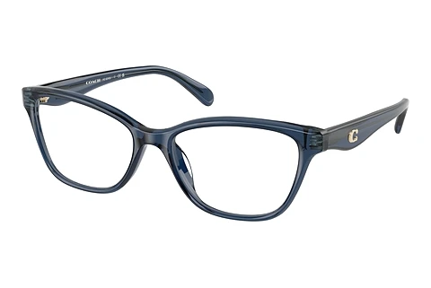 Occhiali design Coach HC6243U 5846