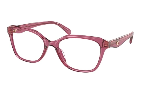 Occhiali design Coach CY043 (HC6244U 5824)