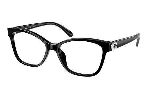 Occhiali design Coach HC6246U 5002