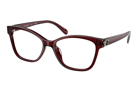 Occhiali design Coach HC6246U 5393