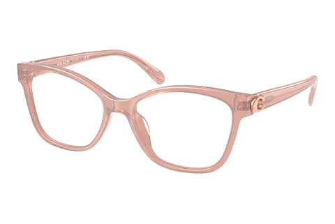 Occhiali design Coach HC6246U 5839