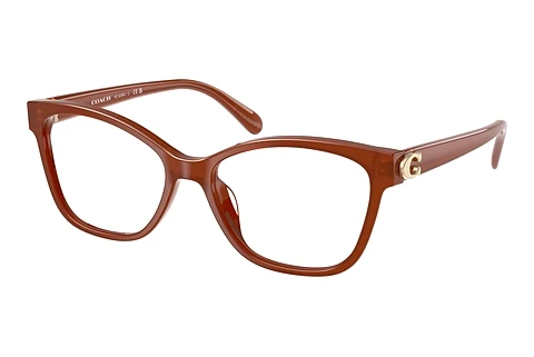 Occhiali design Coach HC6246U 5841