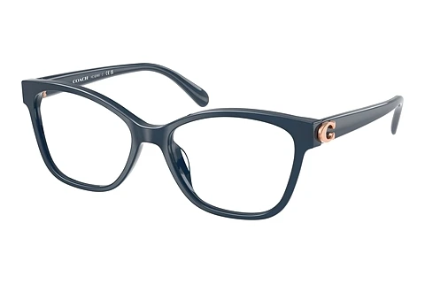 Occhiali design Coach HC6246U 5842