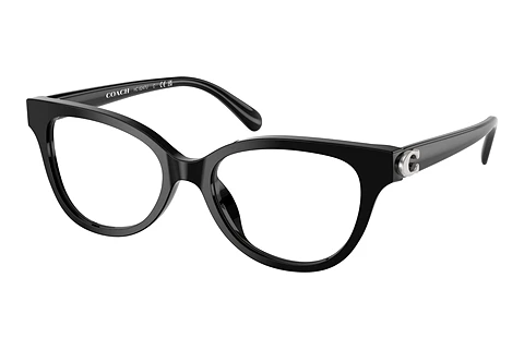 Occhiali design Coach HC6247U 5002