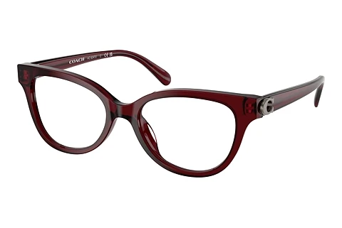 Occhiali design Coach HC6247U 5393