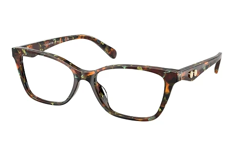 Occhiali design Coach HC6248U 5844