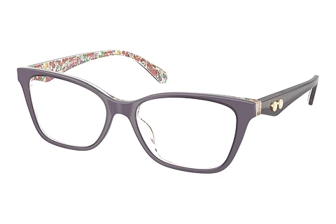 Occhiali design Coach HC6248U 5895