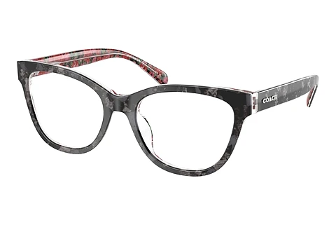Occhiali design Coach HC6249U 5856