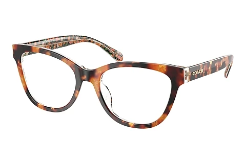 Occhiali design Coach HC6249U 5857