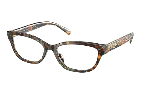 Occhiali design Coach HC6250U 5844