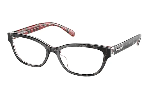Occhiali design Coach HC6250U 5856