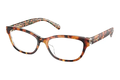 Occhiali design Coach HC6250U 5857