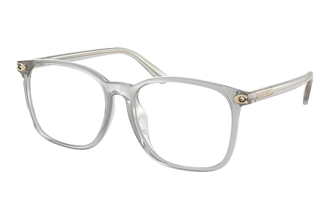 Occhiali design Coach HC6254BD 5614