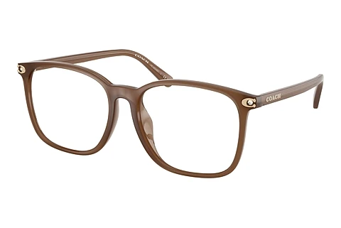 Occhiali design Coach HC6254BD 5808