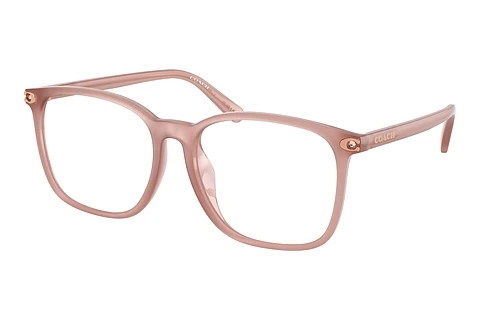 Occhiali design Coach HC6254BD 5839