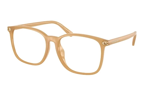 Occhiali design Coach HC6254BD 5854