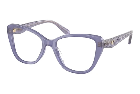 Occhiali design Coach HC6255U 5864
