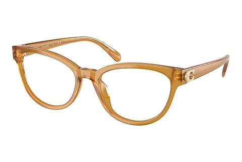 Occhiali design Coach HC6258U 5774