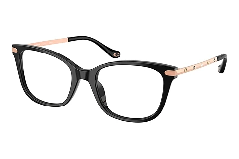 Occhiali design Coach HC6261BU 5002