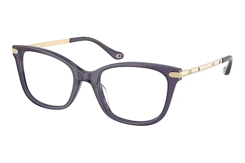Occhiali design Coach HC6261BU 5522