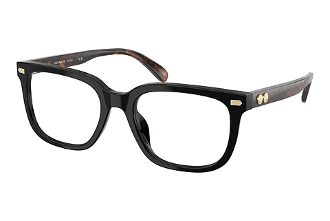 Occhiali design Coach HC6266U 5002
