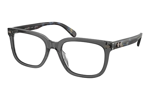 Occhiali design Coach HC6266U 5882